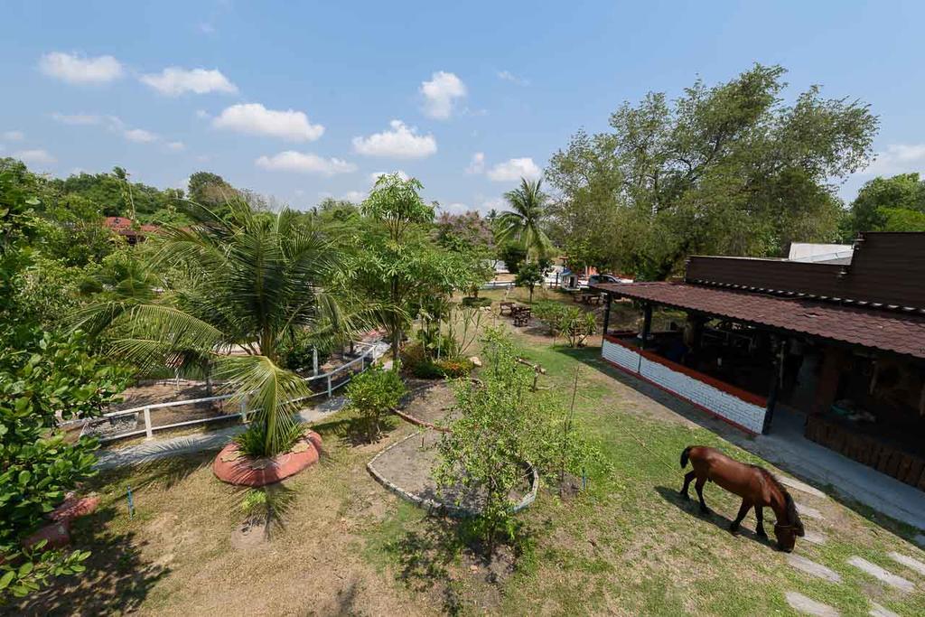 Cowboy Farm Resort Pattaya Ban Huai Yai 외부 사진