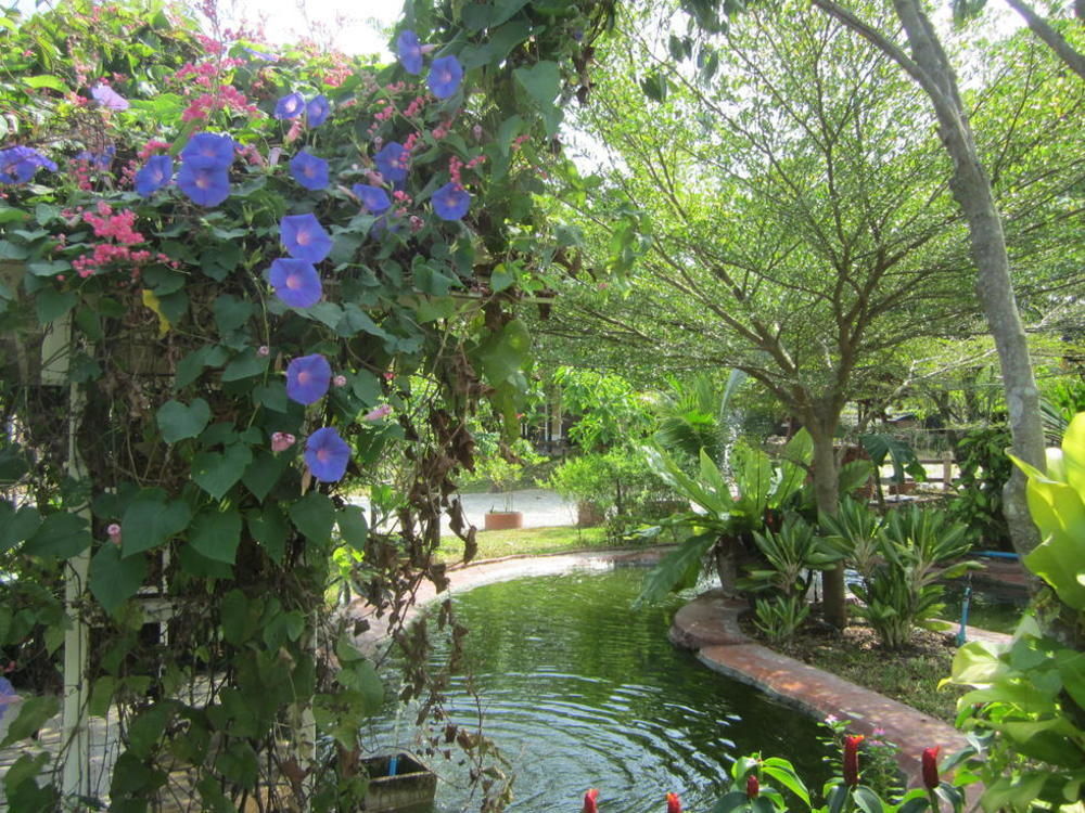 Cowboy Farm Resort Pattaya Ban Huai Yai 외부 사진