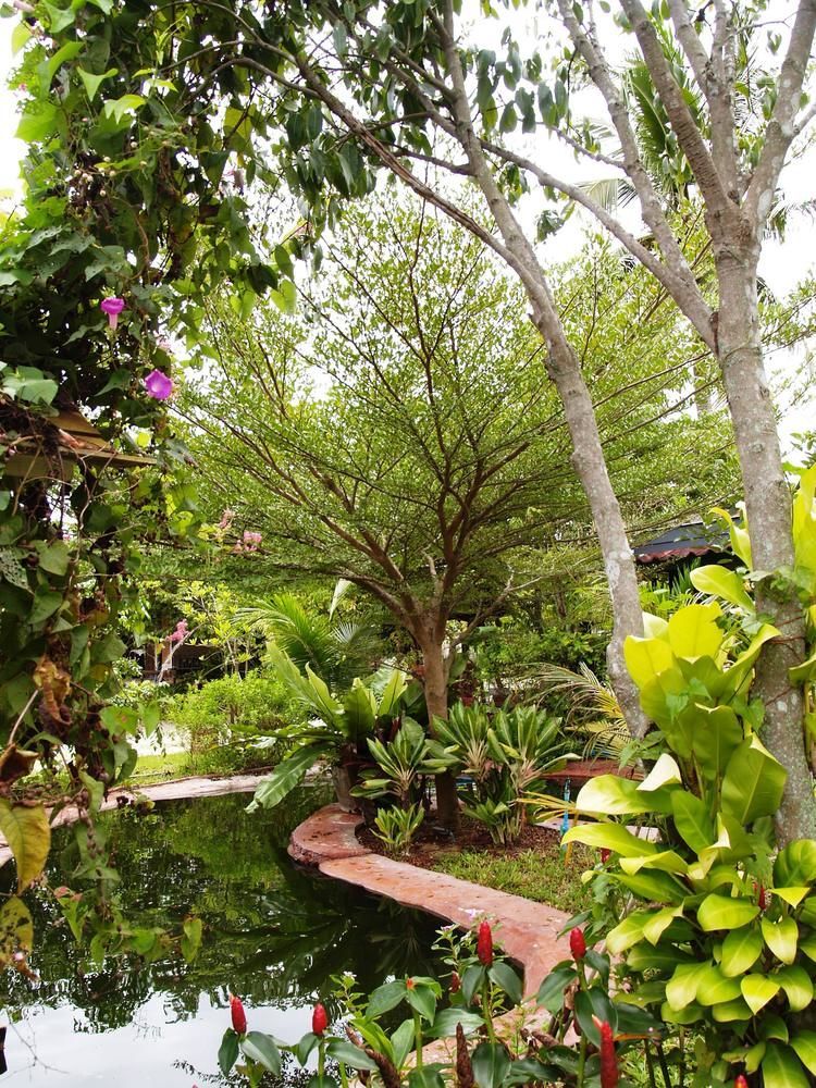 Cowboy Farm Resort Pattaya Ban Huai Yai 외부 사진